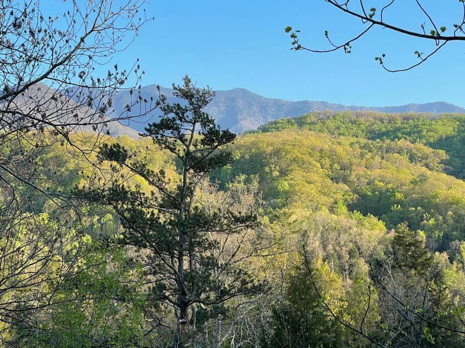 Smokies Boutique Cabins: Mountain Retreat with Resort Amenities Gatlinburg Exterior photo